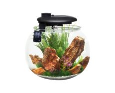 TABAQUERIA Y ACCESORIOS