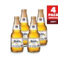 Modelo-Botellin-Canasta-x4-355cc-02